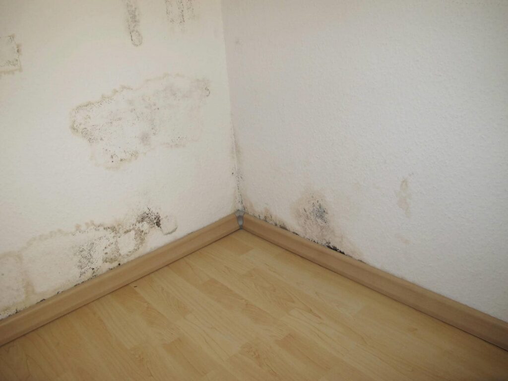 Corner of a room with mold and water damage on white walls above a wooden floor.