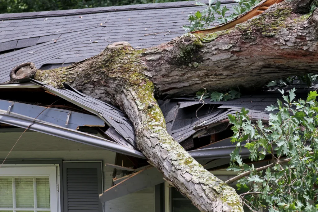Calabasas, CA Storm Damage